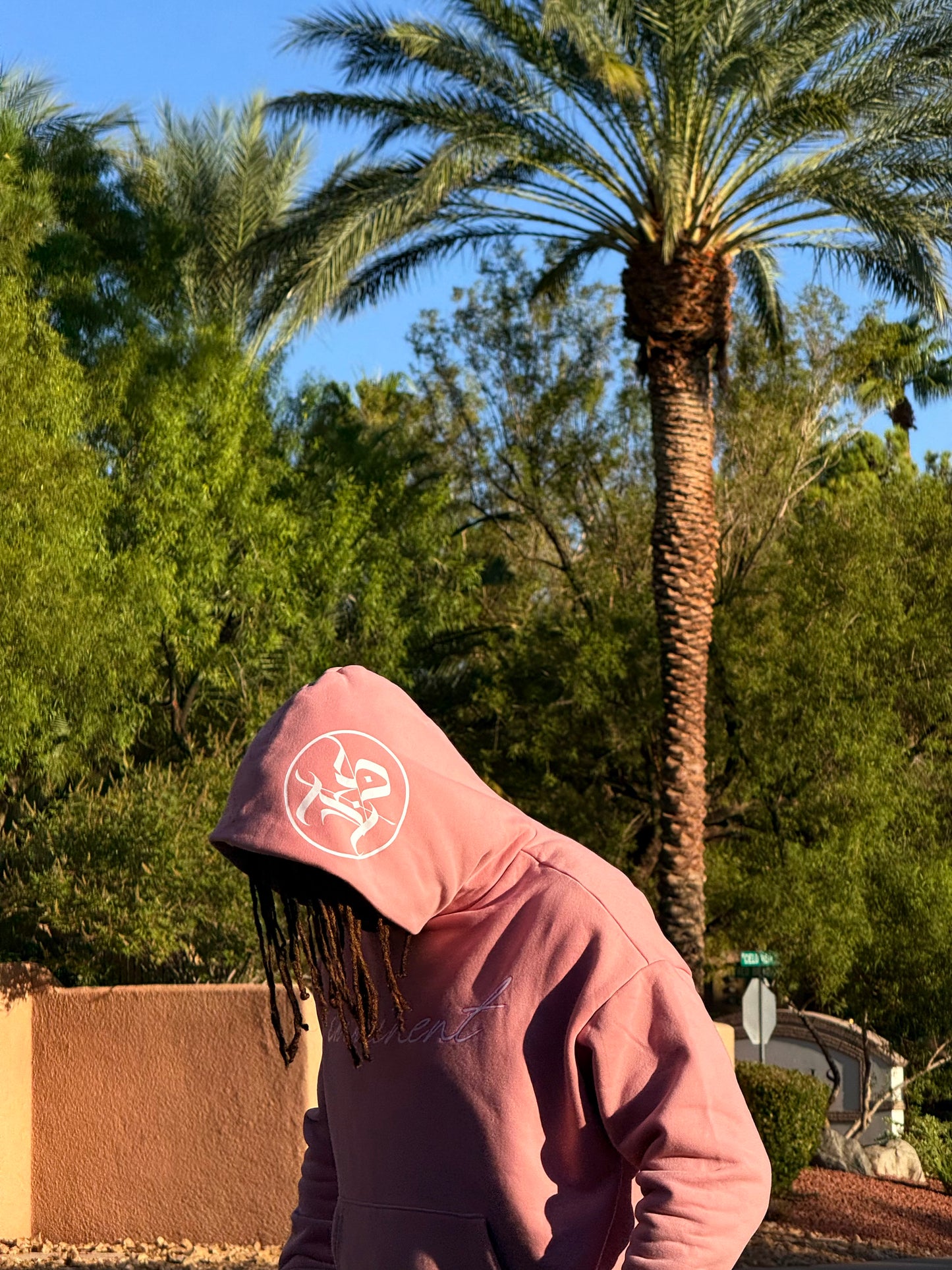 Signature Series Hoodie
